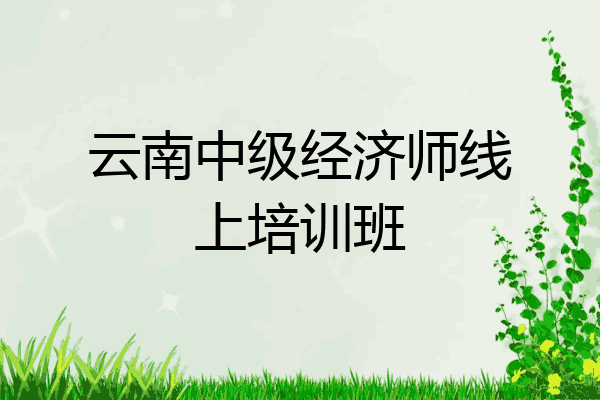 云南中级经济师线上培训班