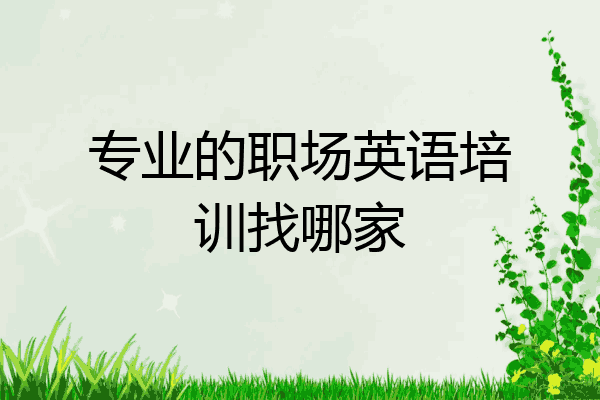 专业的职场英语培训找哪家