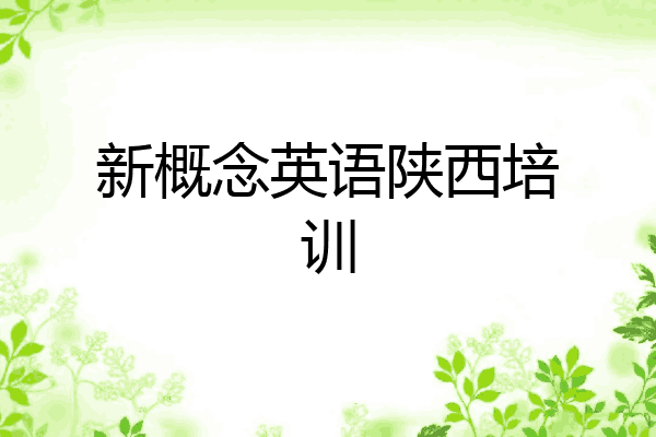 新概念英语陕西培训