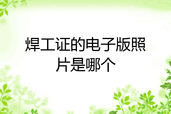 焊工证的电子版照片是哪个