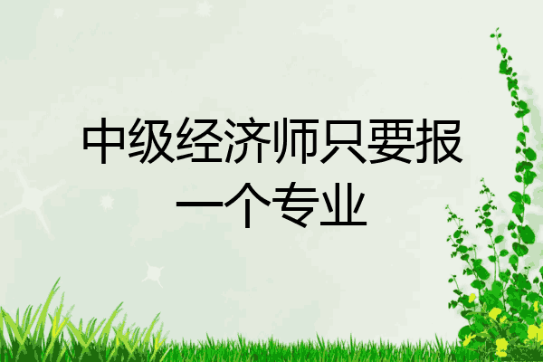 中级经济师只要报一个专业