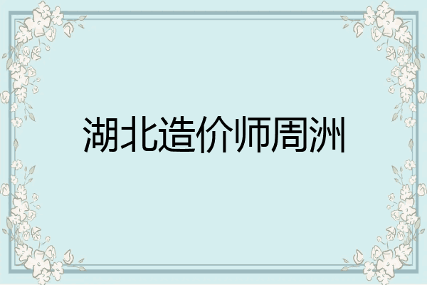 湖北造价师周洲