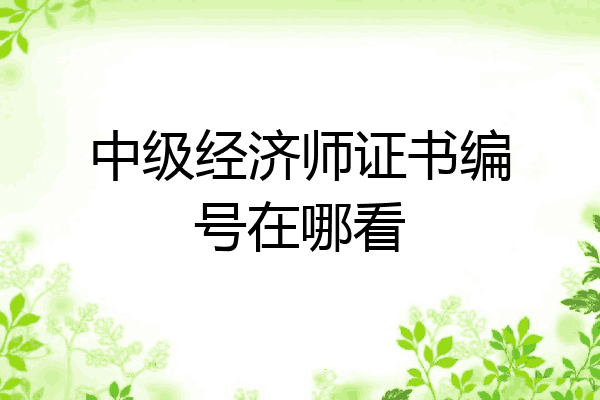 中级经济师证书编号在哪看