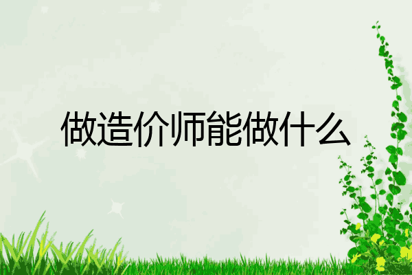 做造价师能做什么