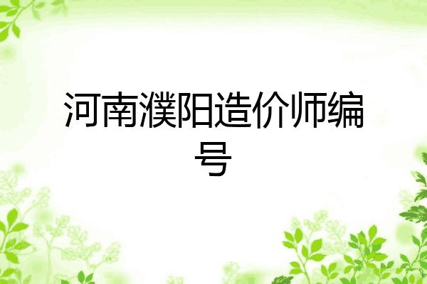 河南濮阳造价师编号