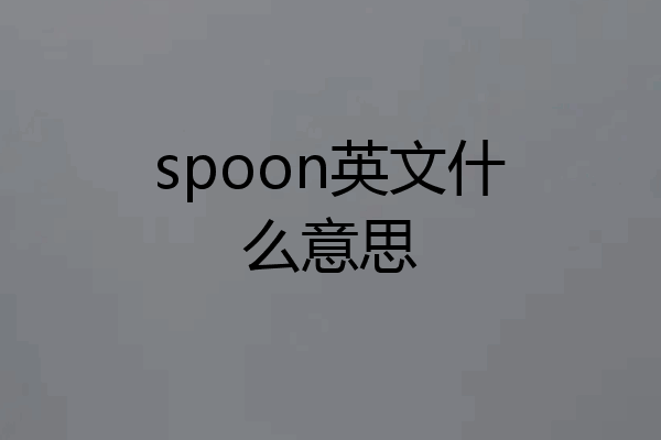 spoon英文什么意思