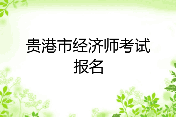 贵港市经济师考试报名