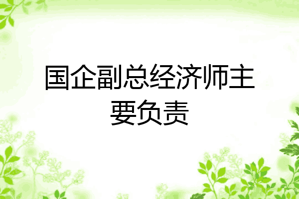 国企副总经济师主要负责