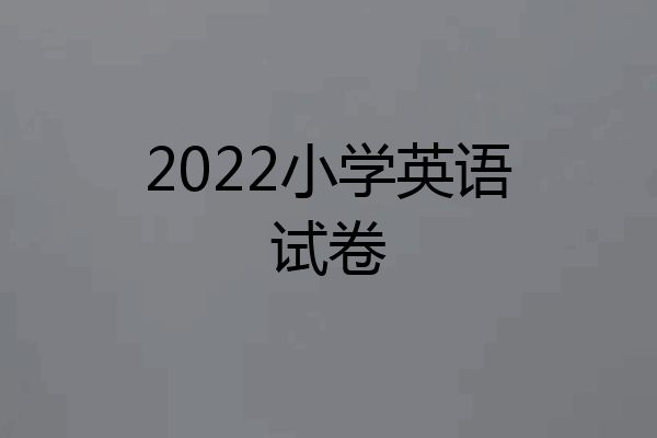 2022小学英语试卷