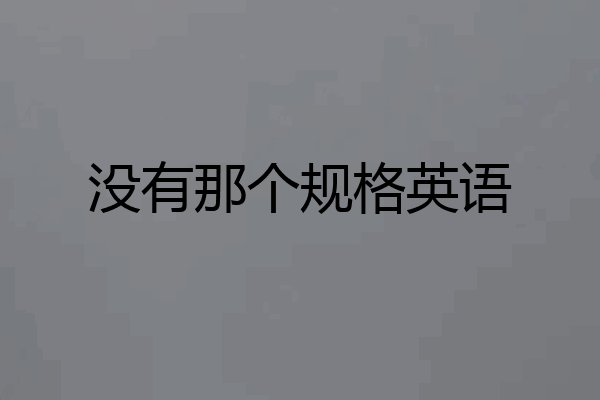 没有那个规格英语