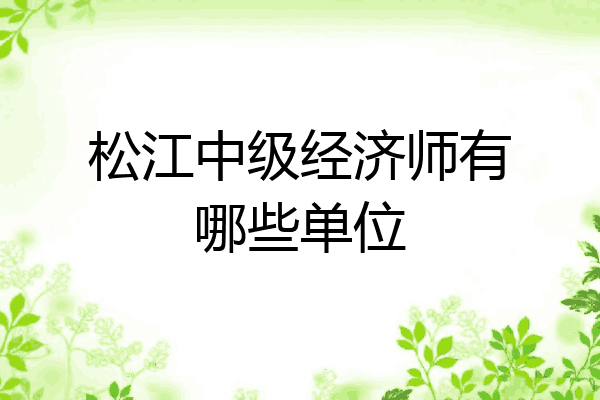 松江中级经济师有哪些单位