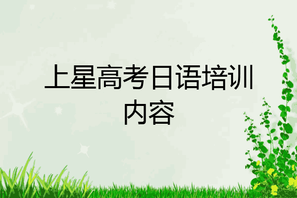 上星高考日语培训内容