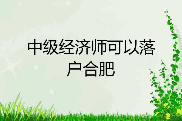 中级经济师可以落户合肥