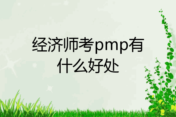 经济师考pmp有什么好处