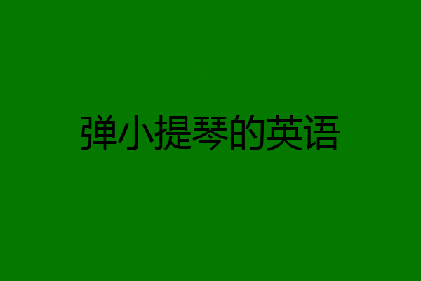 弹小提琴的英语