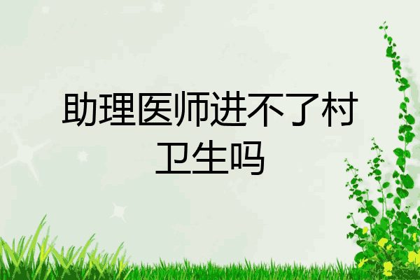 助理医师进不了村卫生吗