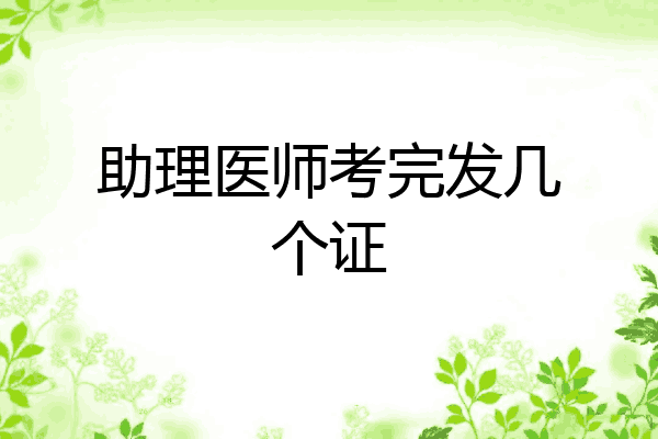 助理医师考完发几个证