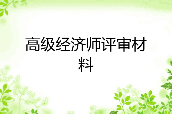 高级经济师评审材料