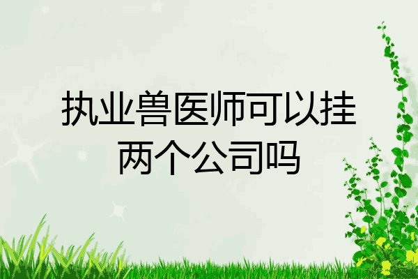 执业兽医师可以挂两个公司吗