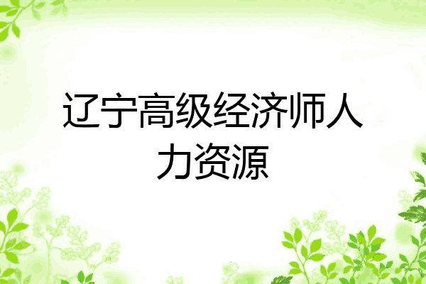 辽宁高级经济师人力资源