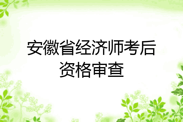 安徽省经济师考后资格审查
