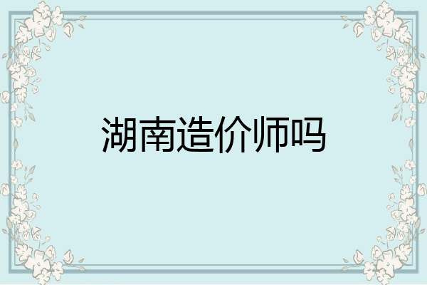 湖南造价师吗