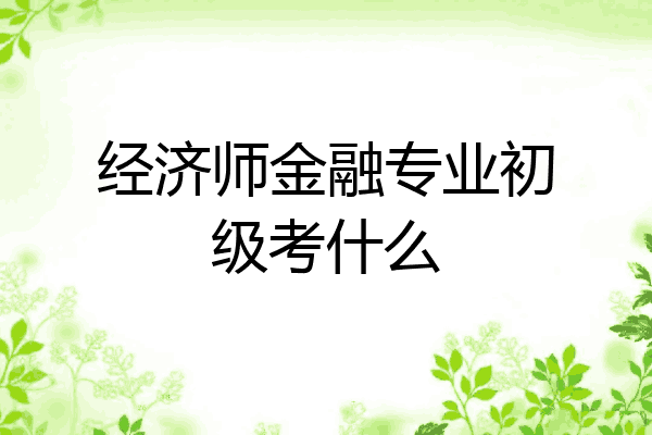 经济师金融专业初级考什么