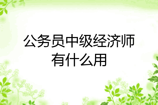 公务员中级经济师有什么用