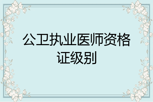 公卫执业医师资格证级别