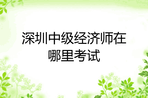 深圳中级经济师在哪里考试
