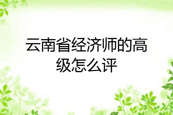云南省经济师的高级怎么评