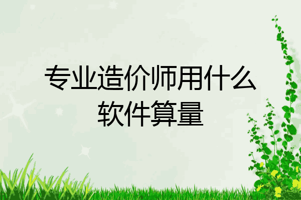 专业造价师用什么软件算量
