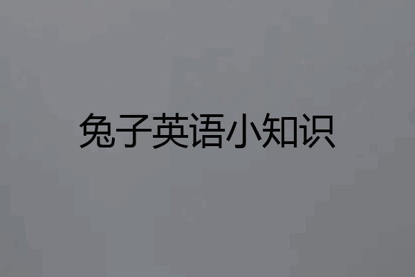 兔子英语小知识