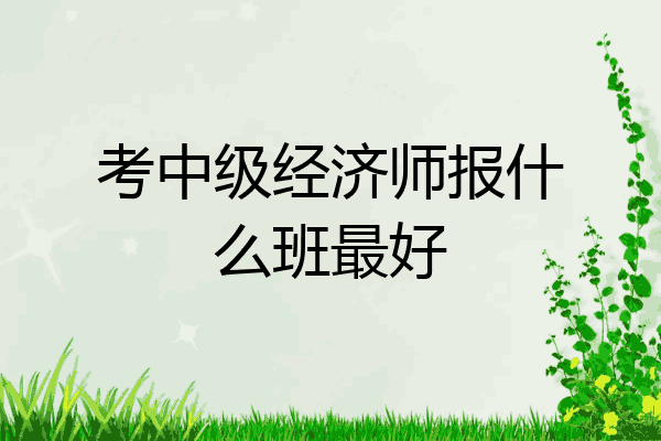 考中级经济师报什么班最好