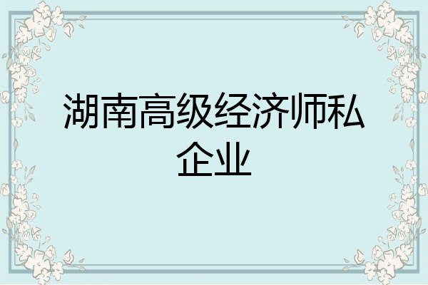 湖南高级经济师私企业