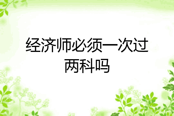 经济师必须一次过两科吗