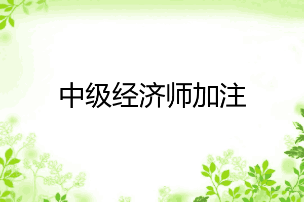 中级经济师加注