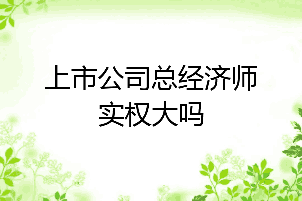上市公司总经济师实权大吗