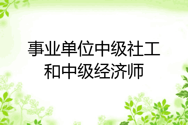 事业单位中级社工和中级经济师