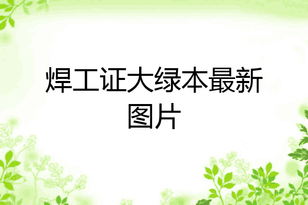 焊工证大绿本最新图片