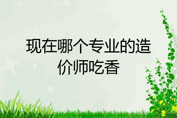 现在哪个专业的造价师吃香