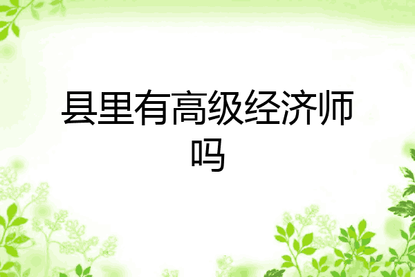 县里有高级经济师吗
