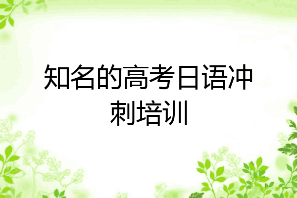 知名的高考日语冲刺培训