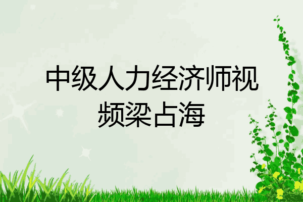 中级人力经济师视频梁占海