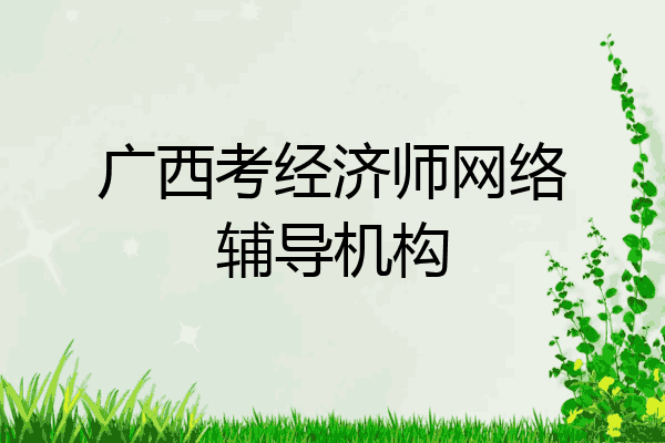 广西考经济师网络辅导机构