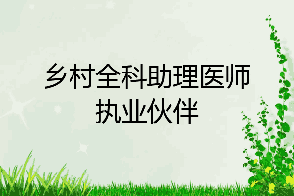 乡村全科助理医师执业伙伴