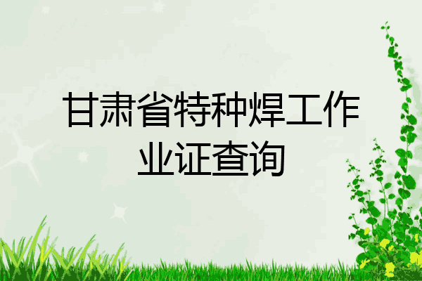 甘肃省特种焊工作业证查询