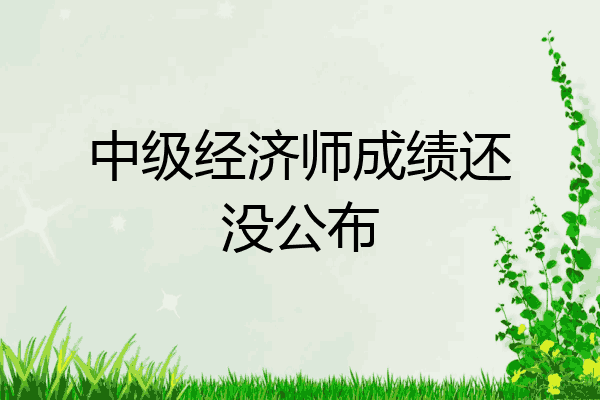 中级经济师成绩还没公布