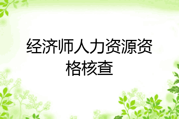 经济师人力资源资格核查