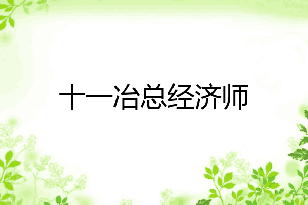 十一冶总经济师